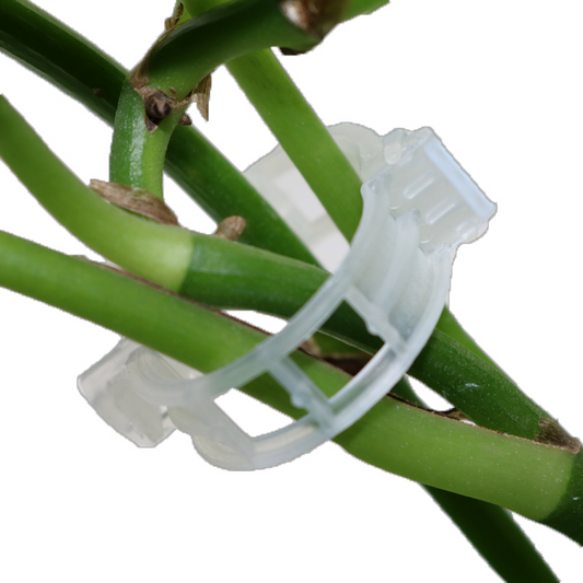 Kletterpflanzen-Clips: Flexible Stützhalter für Stämme