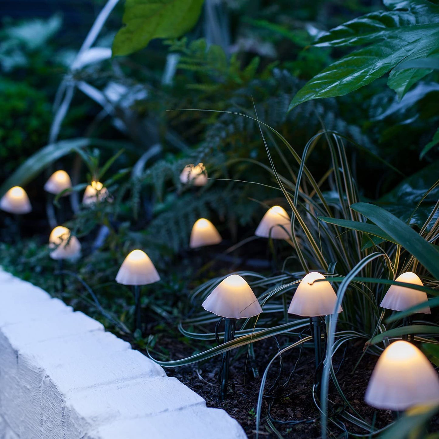 LED Solar Pilze