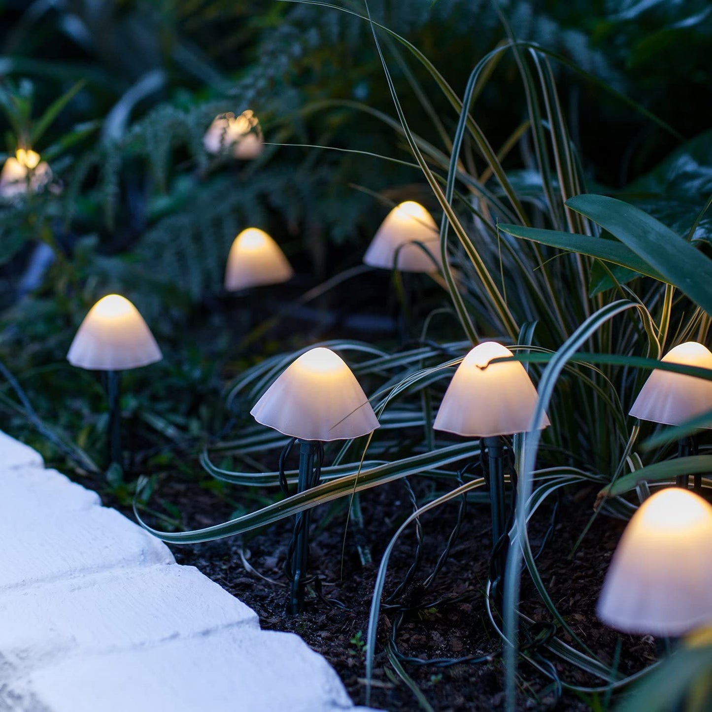 LED Solar Pilze