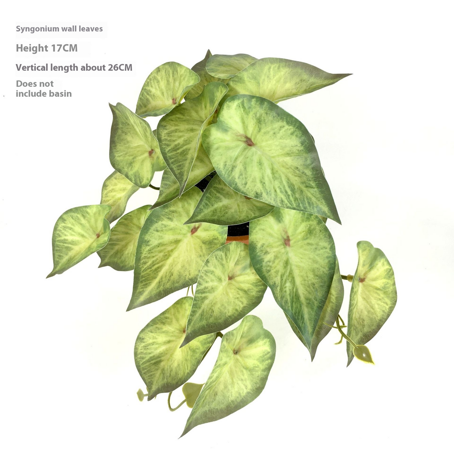 Hängepflanze Künstlich – Deko Innen & Außen Naturoptik in Syngonium Podophyllum | BEST-AMBIENCE