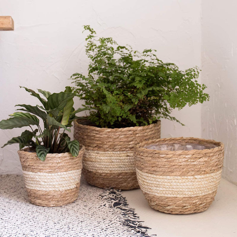 Seegras-Pflanzkorb Set 3-tlg. mit Folie handgeflochten - Garten & Outdoor | BEST-AMBIENCE