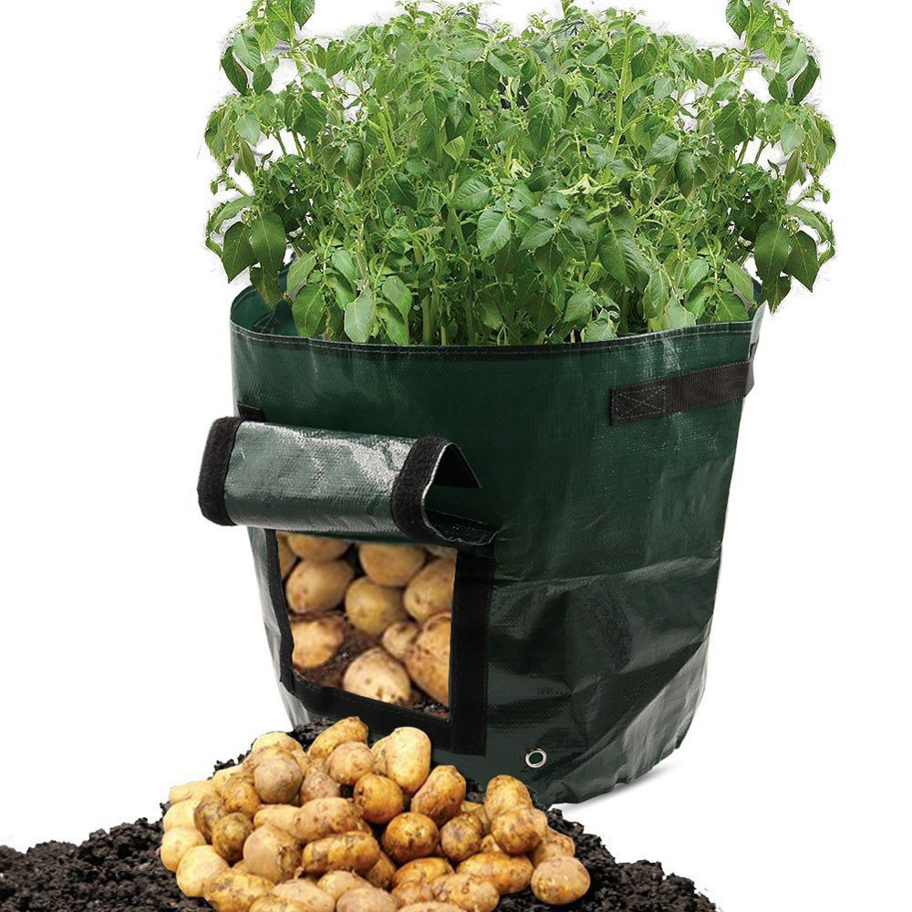 Kartoffel-Pflanzsack mit Sichtfenster – Wiederverwendbar in 34X35cm | BEST-AMBIENCE