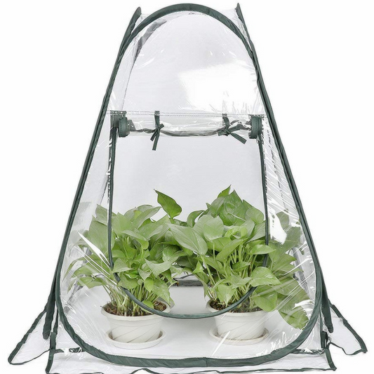 Transparentes Mini-Gewächshaus Pflanzenzelt Garten kompakt – Garten & Outdoor | BEST-AMBIENCE