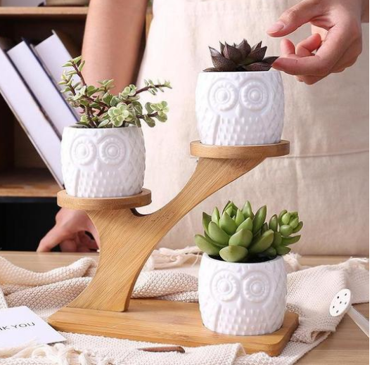Blumenständer Holz Eulen-Design – Sukkulenten & Zimmerpflanzen - Detailansicht 4 | BEST-AMBIENCE