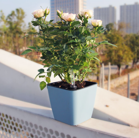Selbstbewässernder Blumentopf – Innen & Außen – Detailansicht 2 | BEST-AMBIENCE