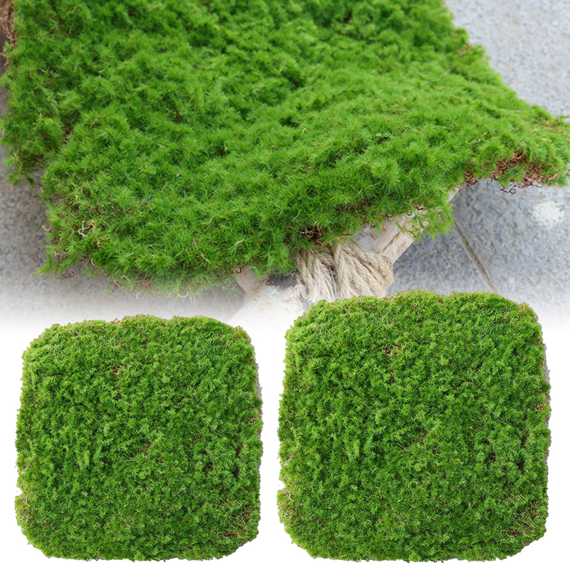 Moosflocken Deko-Ornament für Garten & Landschaft - Detailansicht 7 | BEST-AMBIENCE
