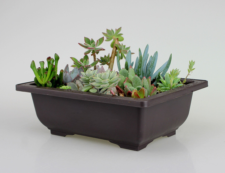Rechteckiger Blumentopf mit Untersetzer für Balkon & Garten – Garten & Outdoor | BEST-AMBIENCE