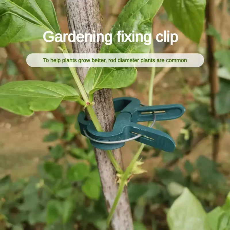 Pflanzclips Set – Pflanzenstützen & Gartenpflege Schlaufen - Detailansicht 3 | BEST-AMBIENCE