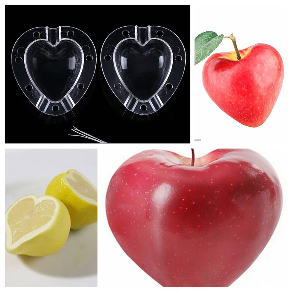 Gemüseformer Herzform – Obst & Gemüse kreativ formen – Detailansicht 6 | BEST-AMBIENCE