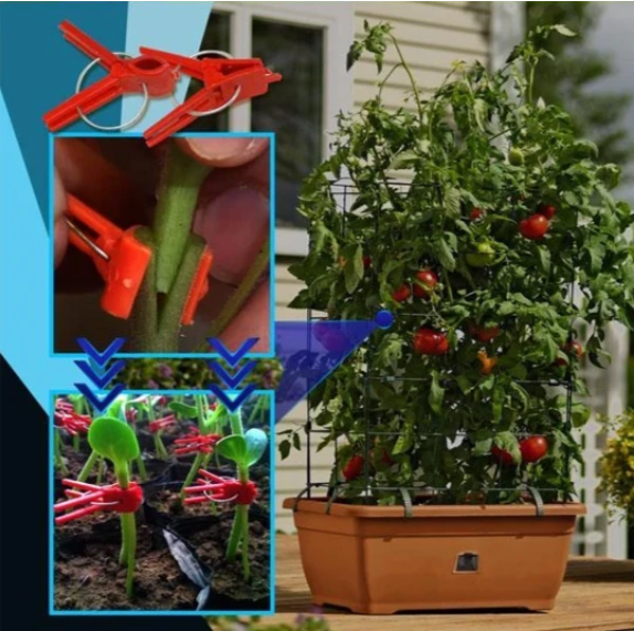 Pfropfclips Kunststoff für Gemüse & Gartenpflanzen – Detailansicht 7 | BEST-AMBIENCE