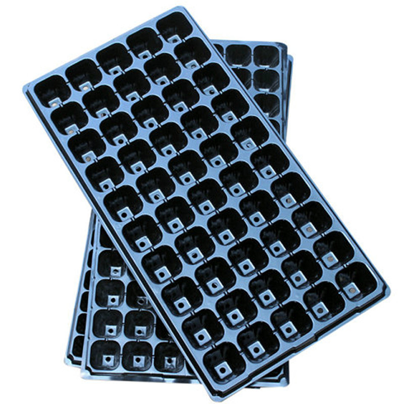 Anzuchtschale rechteckig – Setzlinge keimen & wachsen – Detailansicht 11 | BEST-AMBIENCE