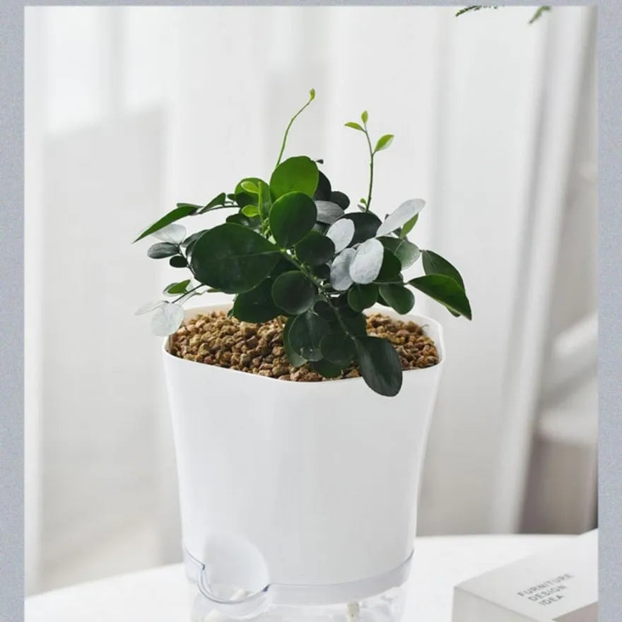 Selbstbewässernder Blumentopf mit Wasserreservoir – Detailansicht 4 | BEST-AMBIENCE