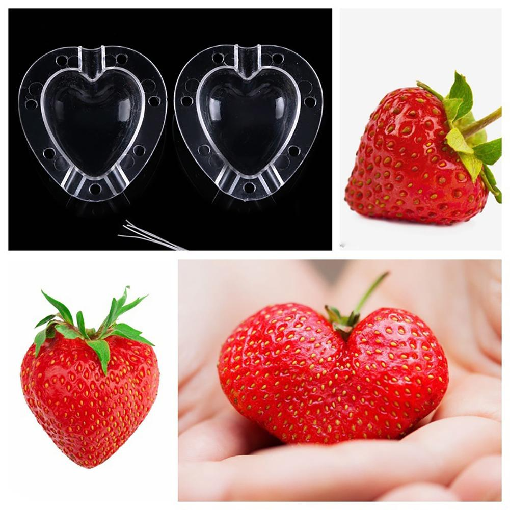 Gemüseformer Herzform – Obst & Gemüse kreativ formen – Detailansicht 4 | BEST-AMBIENCE