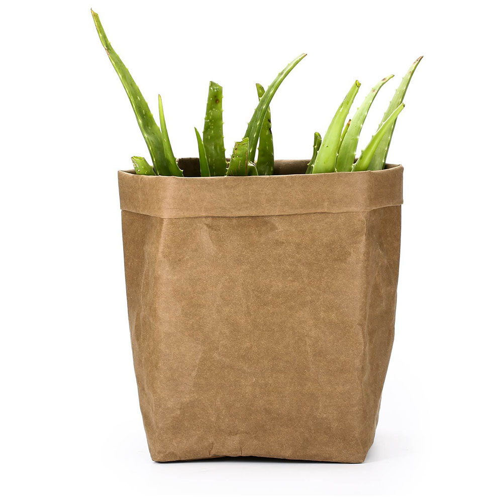 Papier-Pflanzgefäße Modern – Stylische Deko für Garten - Detailansicht 6 | BEST-AMBIENCE