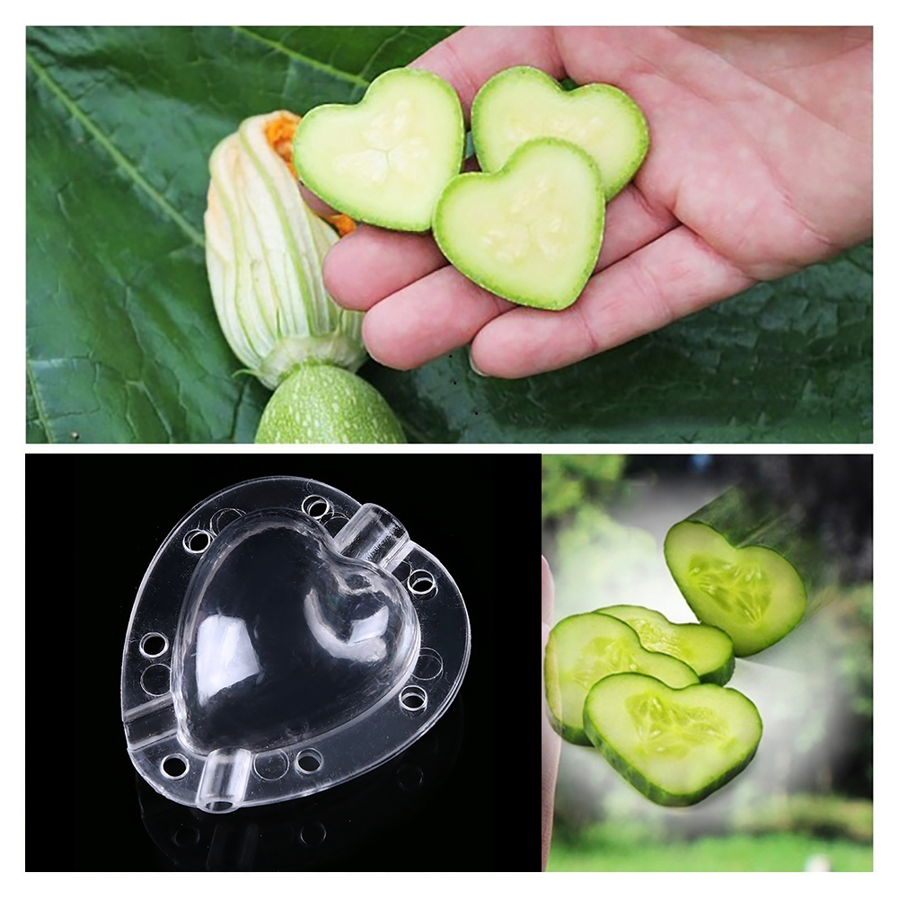 Gemüseformer Herzform – Obst & Gemüse kreativ formen – Detailansicht 9 | BEST-AMBIENCE