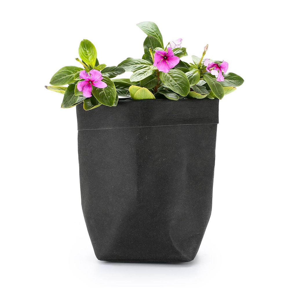 Papier-Pflanzgefäße Modern – Stylische Deko für Garten - Detailansicht 3 | BEST-AMBIENCE