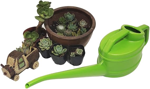 Gießkanne Langer Auslauf – Präzise Bewässerung Garten – Detailansicht 5 | BEST-AMBIENCE