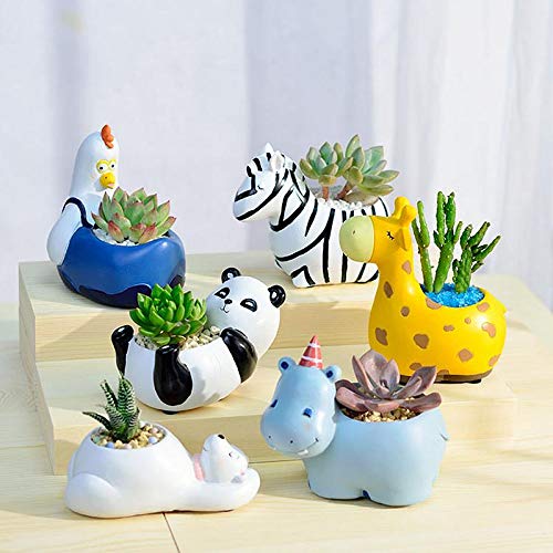 Sukkulenten-Töpfe mit Tierdesign – Kaktus Pflanzgefäß - Detailansicht 4 | BEST-AMBIENCE