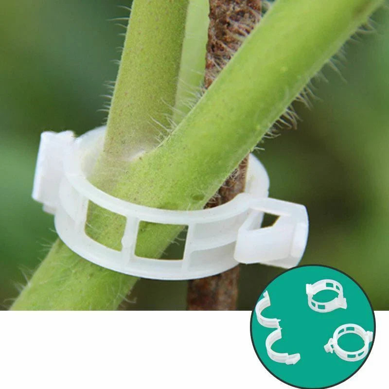 Kletterpflanzen-Clips: Flexible Stützhalter für Stämme