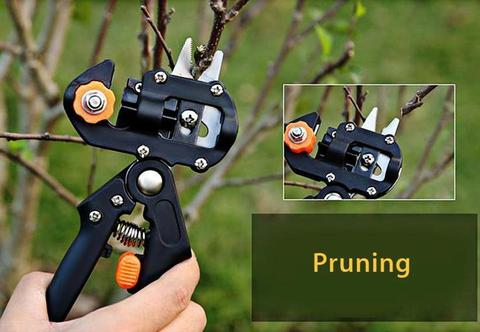 Veredelungsschere Pflanzen – Präzises Grafting-Werkzeug – Detailansicht 5 | BEST-AMBIENCE