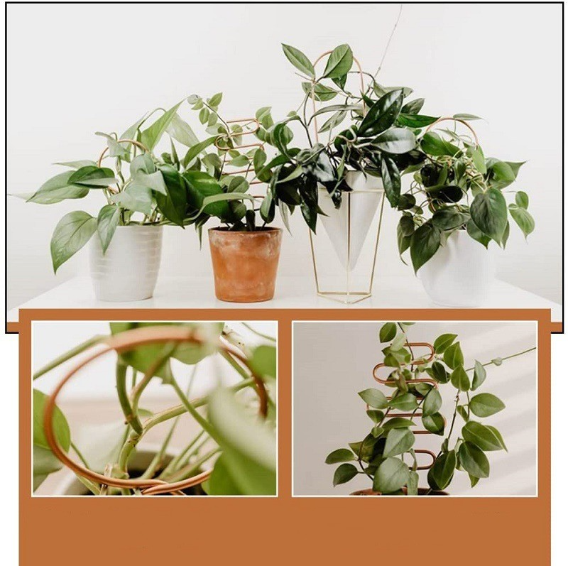 Metall-Rankgitter für Kletterpflanzen – verschiedene Formen - Detailansicht 4 | BEST-AMBIENCE
