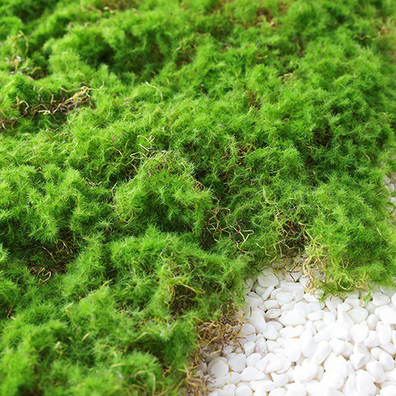 Moosflocken Deko-Ornament für Garten & Landschaft - Detailansicht 6 | BEST-AMBIENCE
