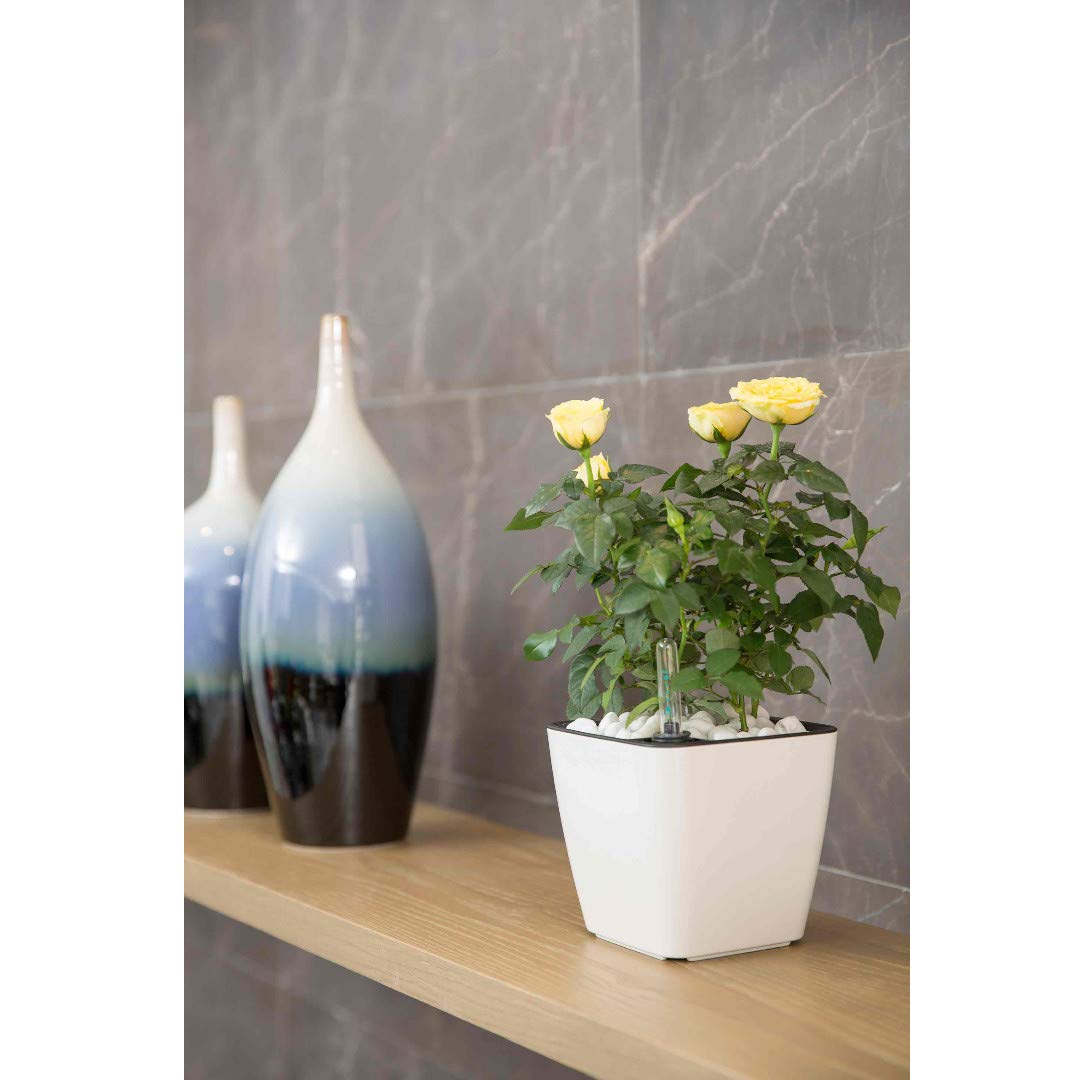 Selbstbewässernder Blumentopf – Innen & Außen – Detailansicht 9 | BEST-AMBIENCE