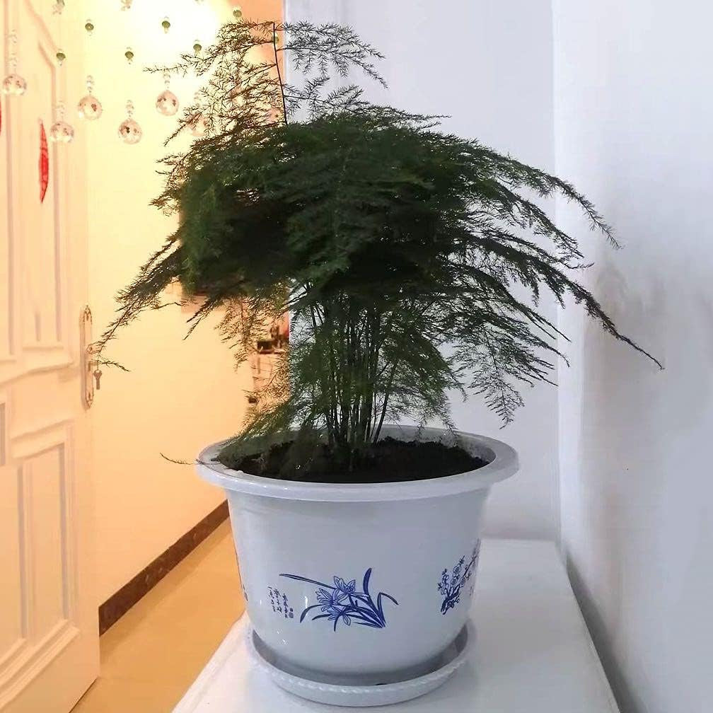 Bambus-Pflanztopf Kunststoff – Balkon & Garten Deko – Detailansicht 3 | BEST-AMBIENCE