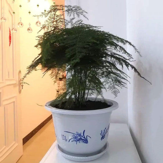 Bambus-Pflanztopf Kunststoff – Balkon & Garten Deko – Detailansicht 3 | BEST-AMBIENCE
