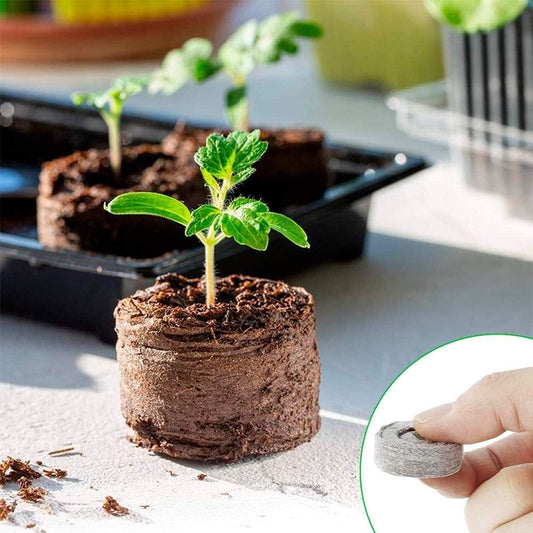 Kokos-Anzuchtpellets Torf für Samen & Jungpflanzen – Garten & Outdoor | BEST-AMBIENCE
