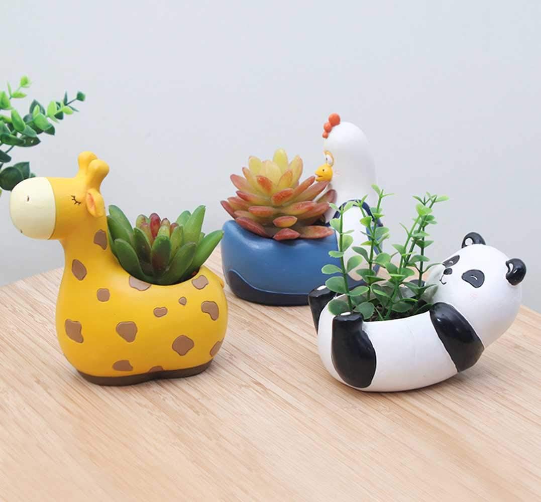 Sukkulenten-Töpfe mit Tierdesign – Kaktus Pflanzgefäß - Detailansicht 3 | BEST-AMBIENCE