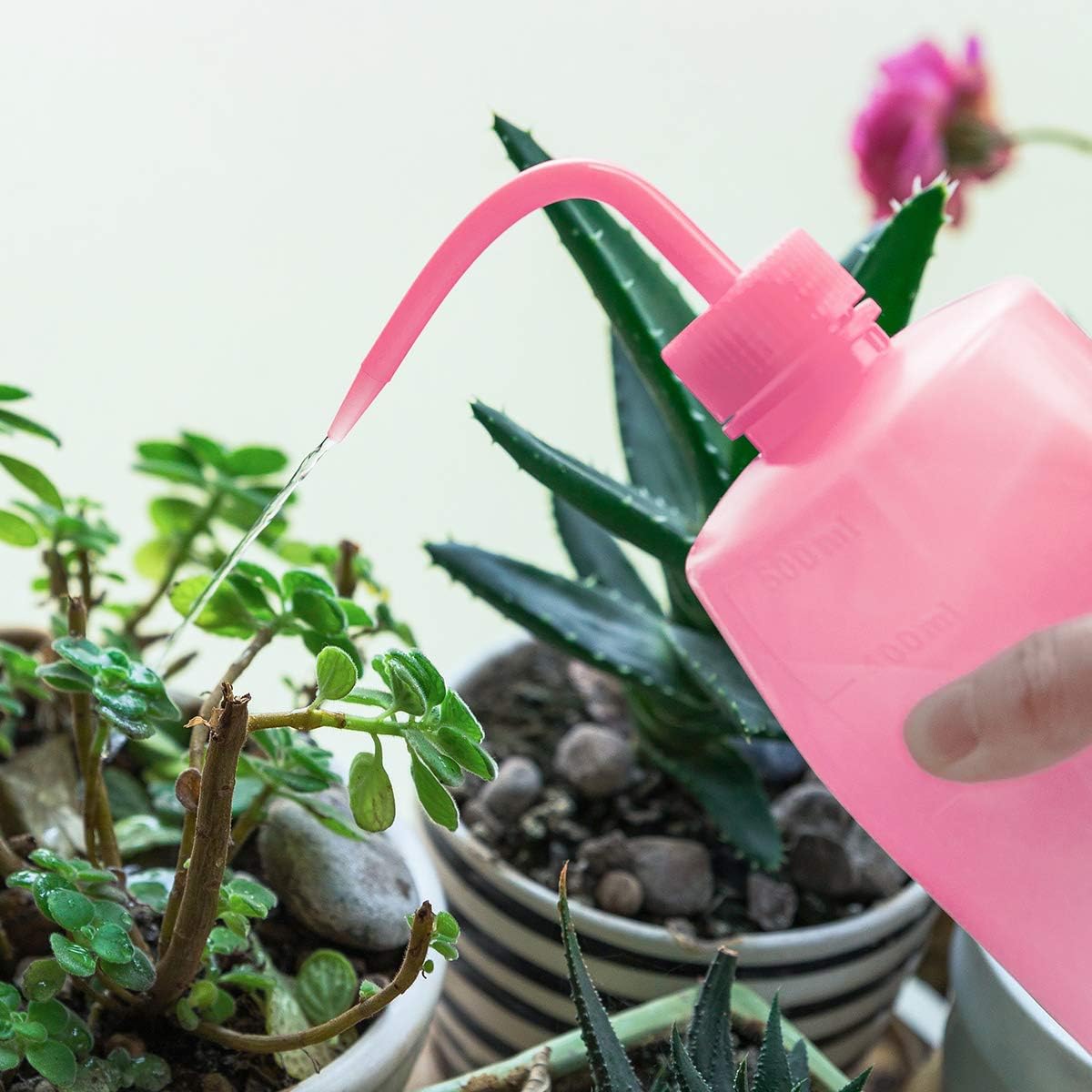 Squeeze-Gießflasche 500ml – Präzise Dosierung & Gießen - Detailansicht 6 | BEST-AMBIENCE