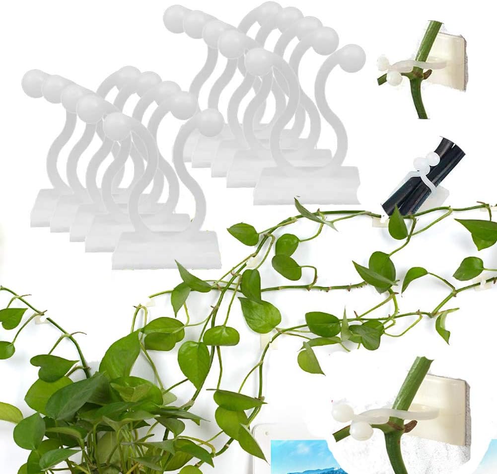 Pflanzenhalter Wandhalterung – Kletterwand Befestigungsclips – Garten & Outdoor | BEST-AMBIENCE