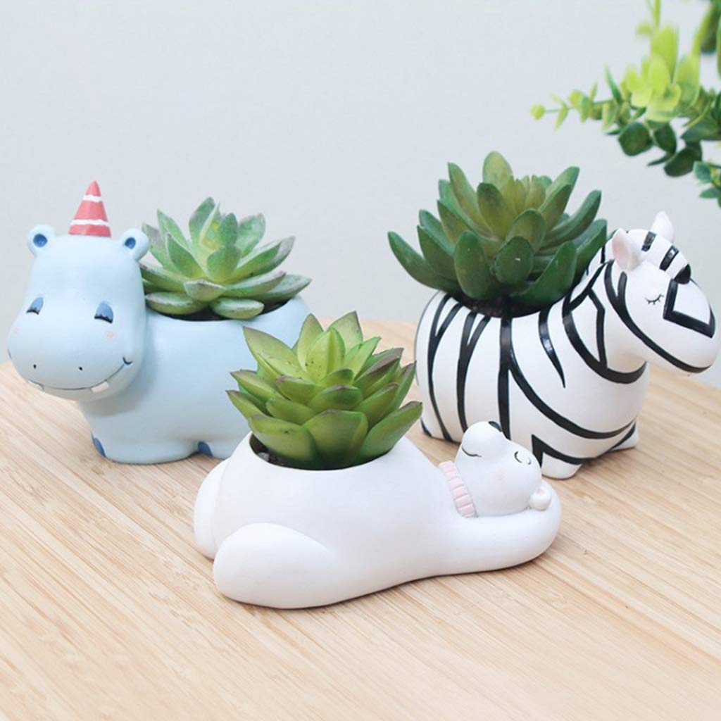 Sukkulenten-Töpfe mit Tierdesign – Kaktus Pflanzgefäß - Detailansicht 5 | BEST-AMBIENCE