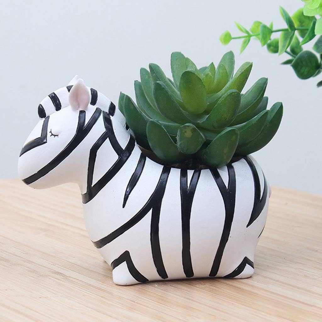 Sukkulenten-Töpfe mit Tierdesign – Kaktus Pflanzgefäß - Detailansicht 6 | BEST-AMBIENCE