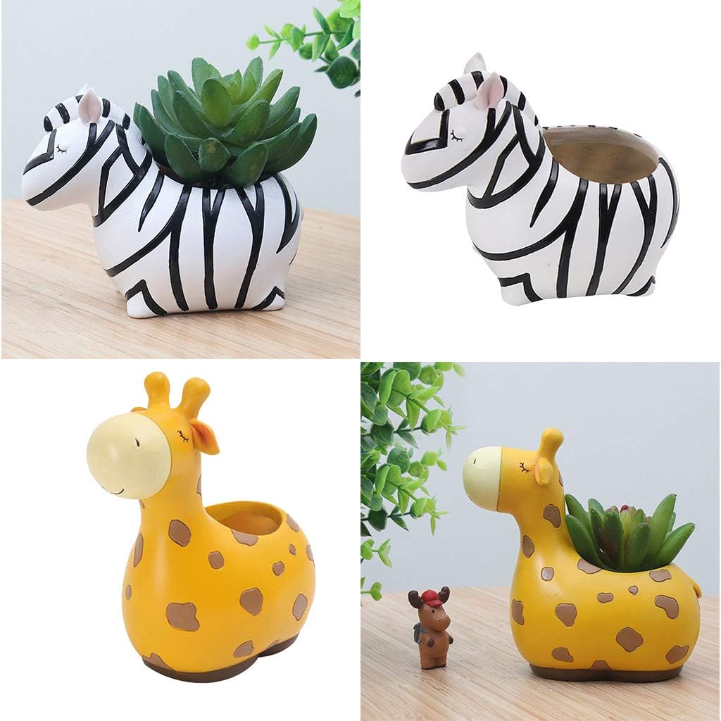 Sukkulenten-Töpfe mit Tierdesign – Kaktus Pflanzgefäß - Detailansicht 2 | BEST-AMBIENCE