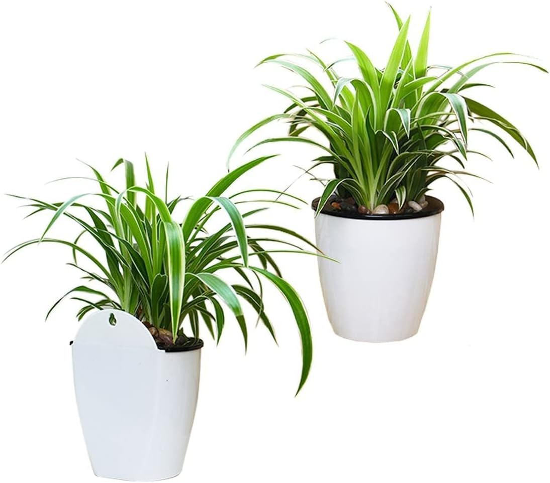 Hängender Blumentopf mit Selbstbewässerung & Wandhalter – Detailansicht 9 | BEST-AMBIENCE