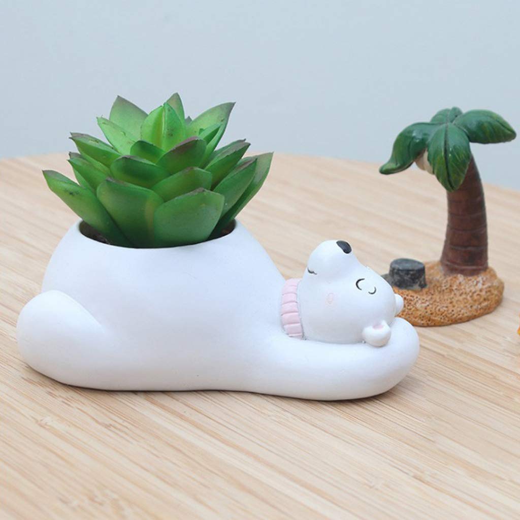 Sukkulenten-Töpfe mit Tierdesign – Kaktus Pflanzgefäß - Detailansicht 7 | BEST-AMBIENCE