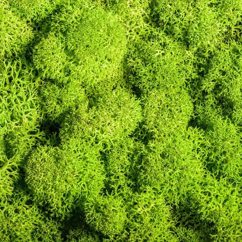Kunstmoos Deko – Moos & Blumen für Floristik & Garten – Detailansicht 7 | BEST-AMBIENCE