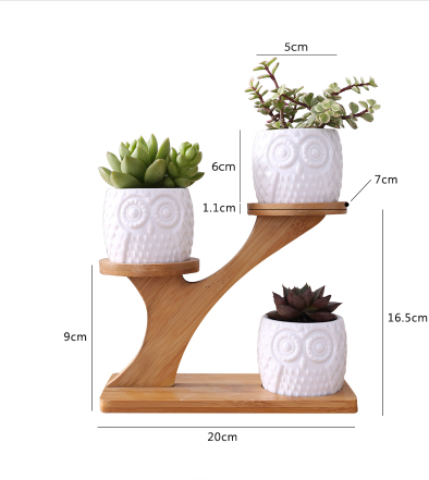 Blumenständer Holz Eulen-Design – Sukkulenten & Zimmerpflanzen - Detailansicht 9 | BEST-AMBIENCE