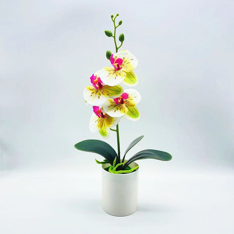 Kunstorchidee Tischdeko – Künstliche Blume Wohnzimmer in 4 Phalaenopsis Grün und Weiß | BEST-AMBIENCE