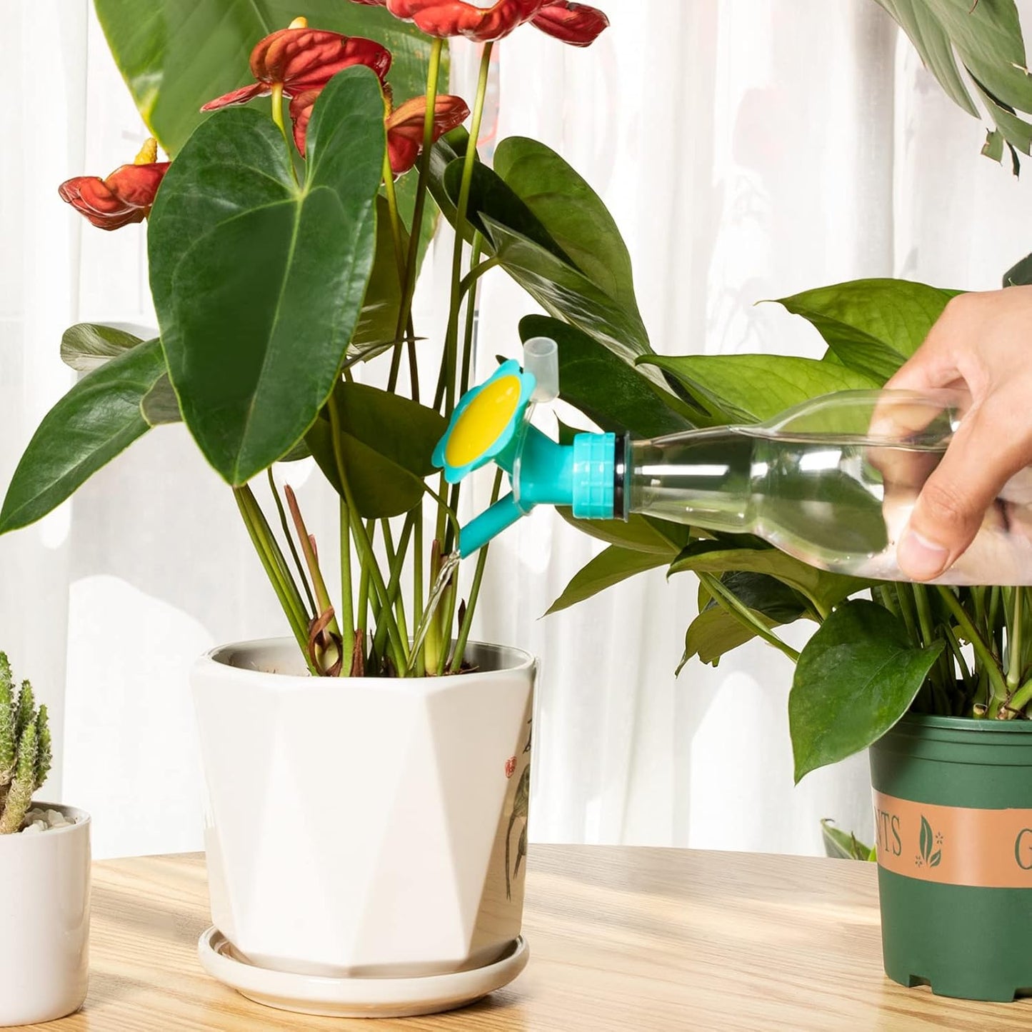 Blumen-Pflanzensprüher | Kreative Garten-Bewässerung
