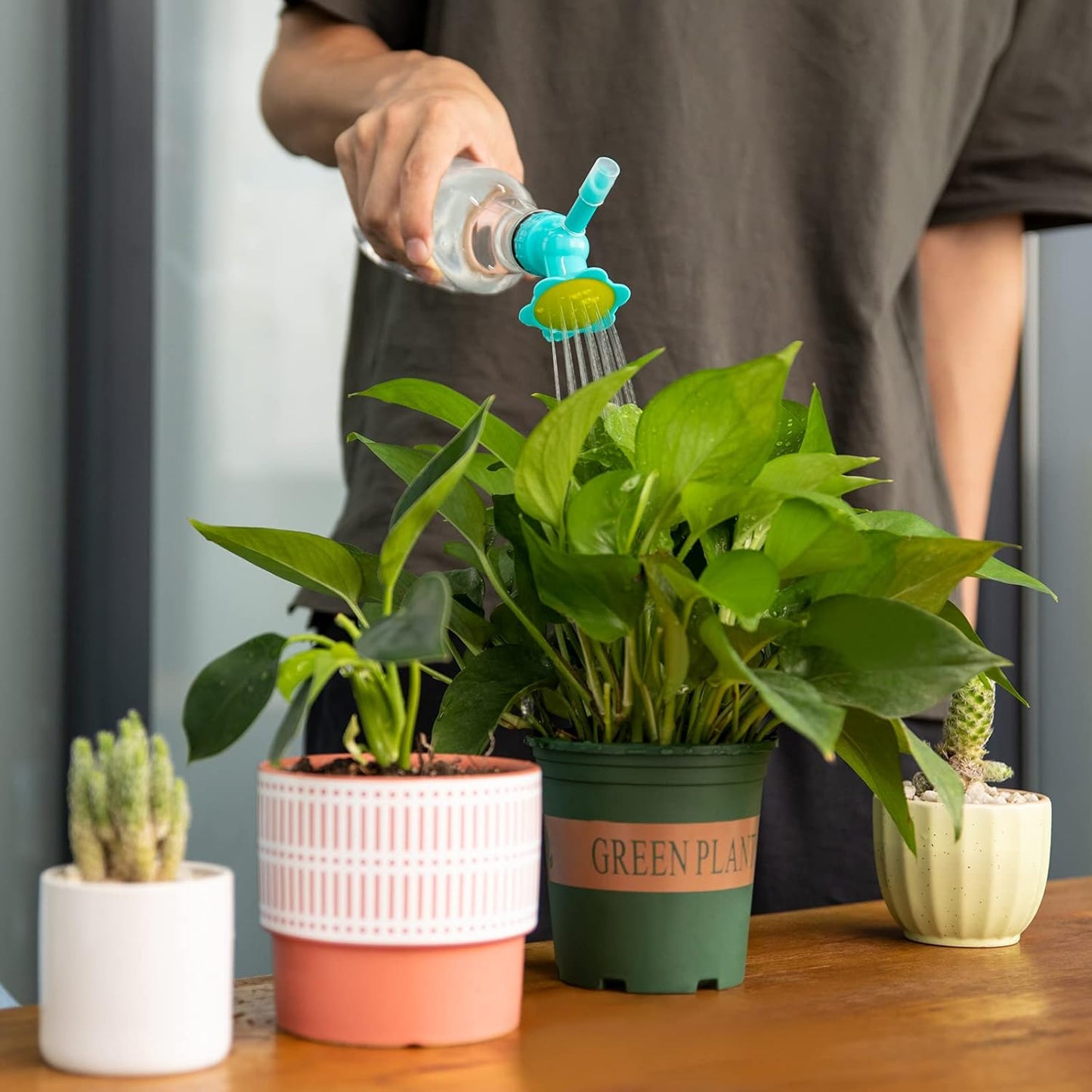 Blumen-Pflanzensprüher | Kreative Garten-Bewässerung