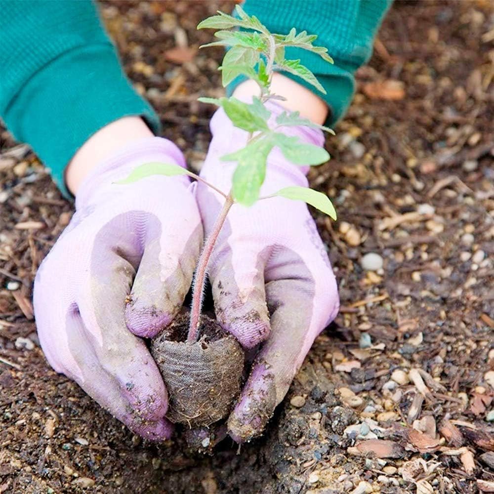 Kokos-Anzuchtpellets Torf für Samen & Jungpflanzen – Detailansicht 8 | BEST-AMBIENCE