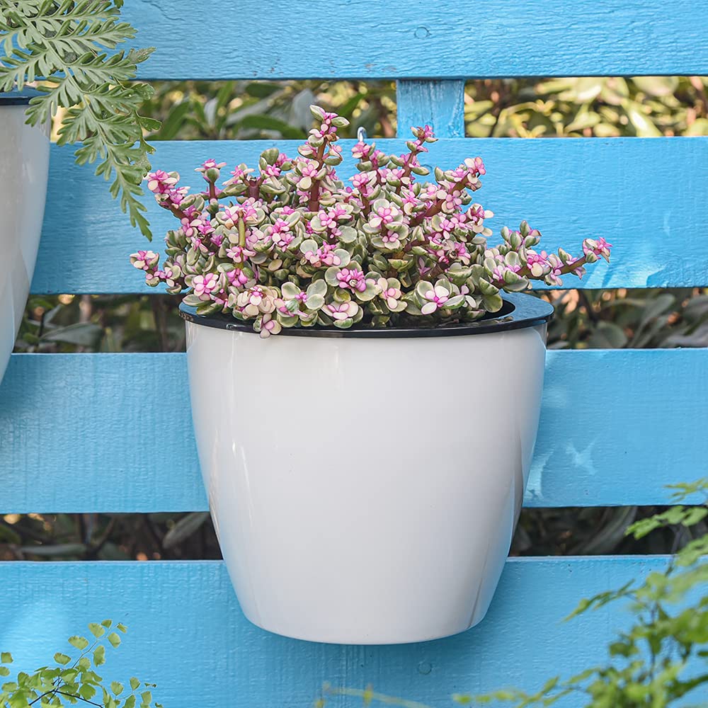 Hängender Blumentopf mit Selbstbewässerung & Wandhalter – Detailansicht 4 | BEST-AMBIENCE