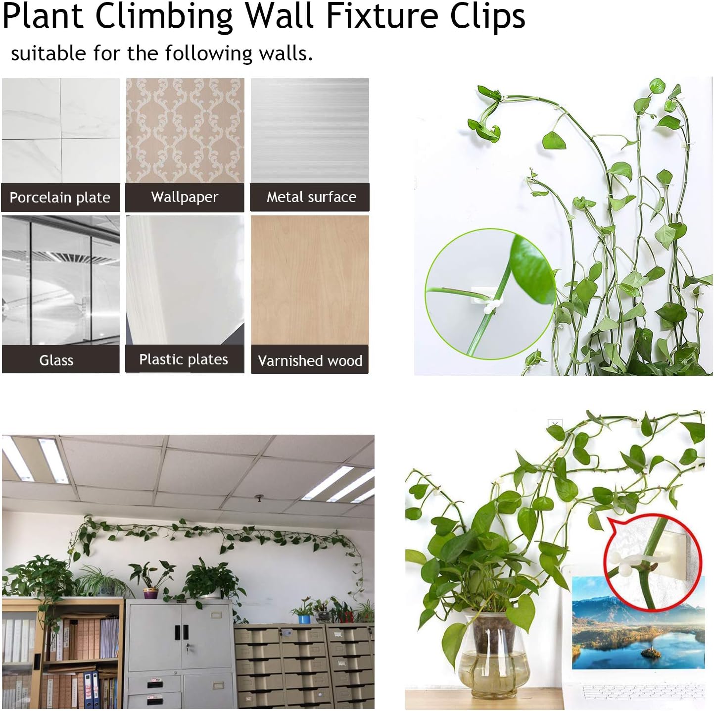 Pflanzenhalter Wandhalterung – Kletterwand Befestigungsclips – Detailansicht 10 | BEST-AMBIENCE