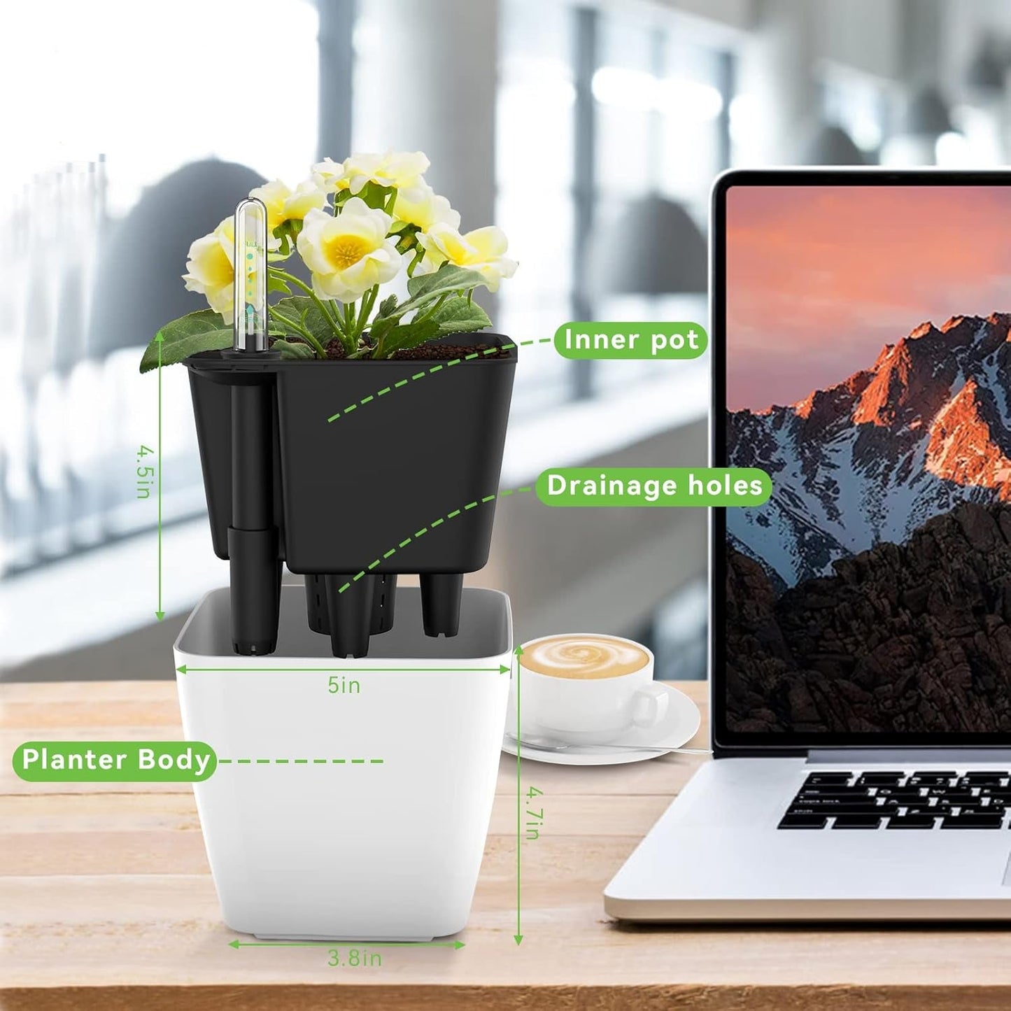 Selbstbewässernder Blumentopf – Innen & Außen – Detailansicht 8 | BEST-AMBIENCE