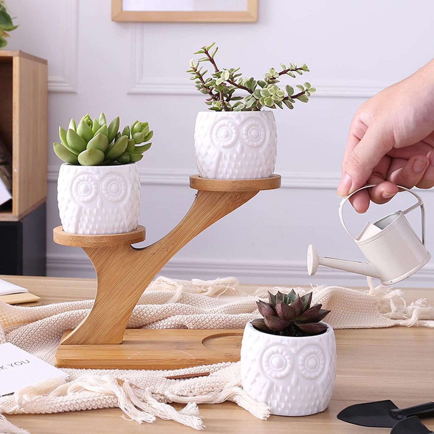 Blumenständer Holz Eulen-Design – Sukkulenten & Zimmerpflanzen - Detailansicht 3 | BEST-AMBIENCE