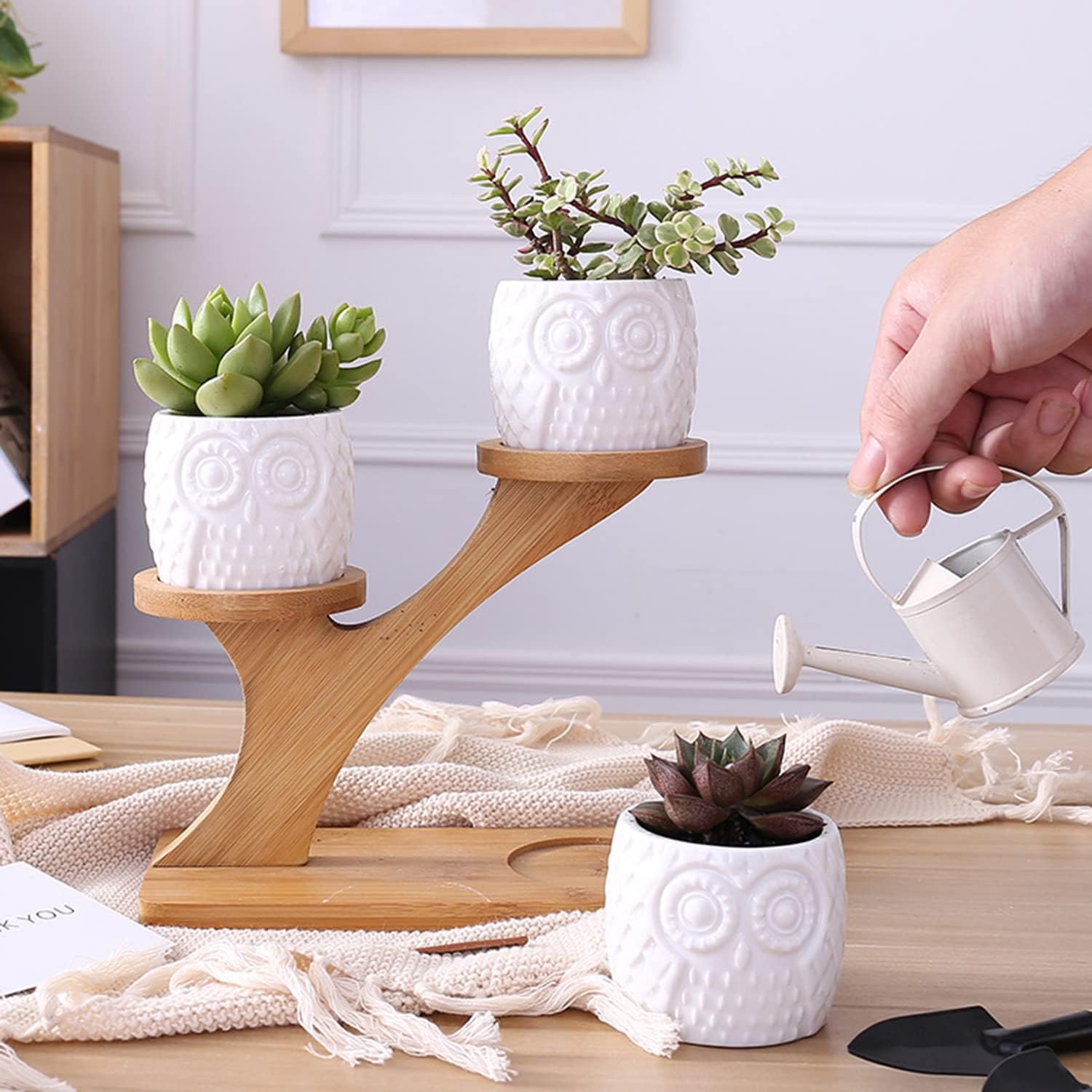 Blumenständer Holz Eulen-Design – Sukkulenten & Zimmerpflanzen - Detailansicht 3 | BEST-AMBIENCE
