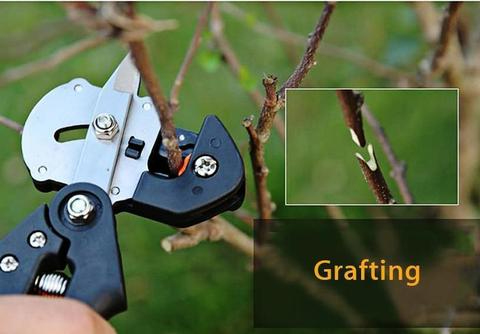 Veredelungsschere Pflanzen – Präzises Grafting-Werkzeug – Detailansicht 7 | BEST-AMBIENCE